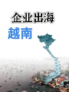 企業出海,越南